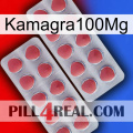 Kamagra100Mg 19